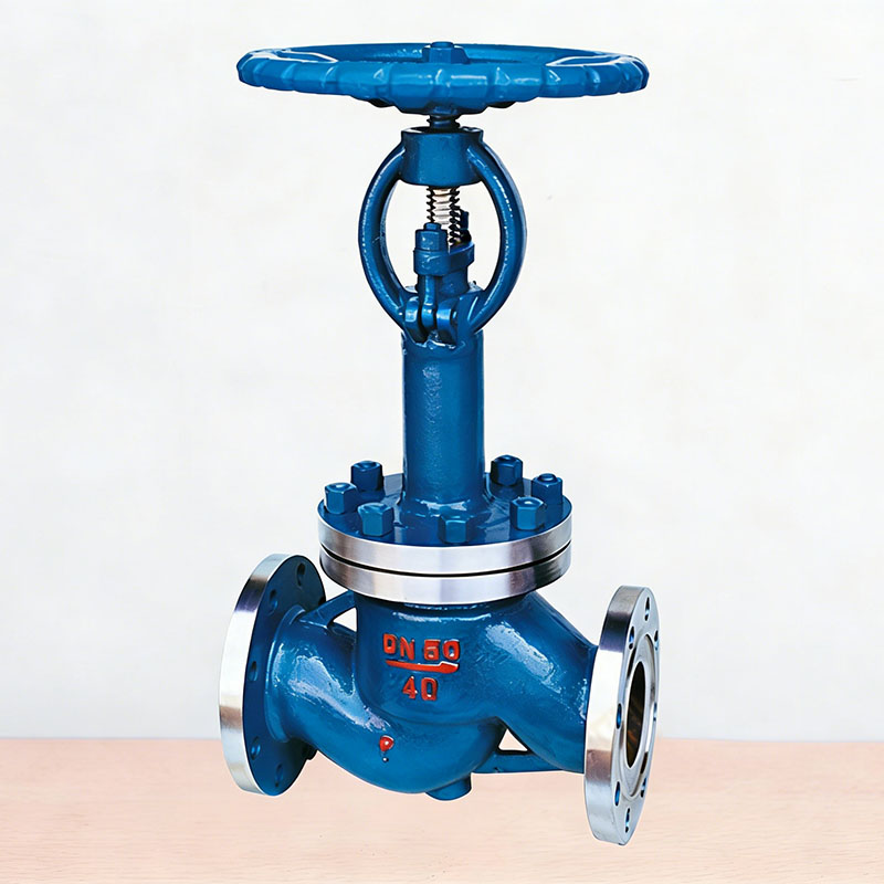 Low Temp Globe Valve DJ41Y