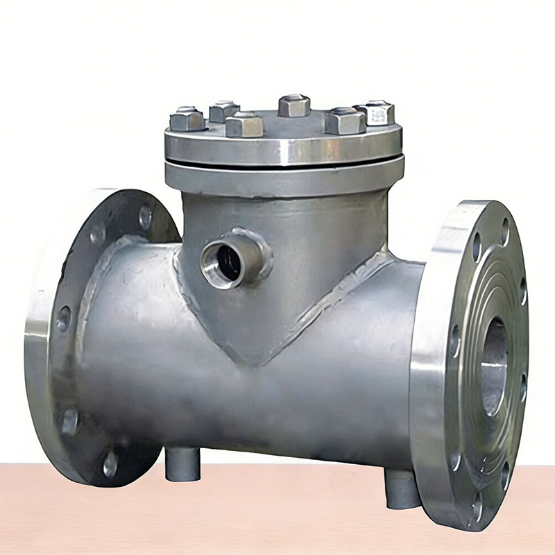 Insulation Check Valve BH41W/H