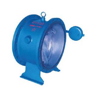 Check Valve DHH44 Manufacturer