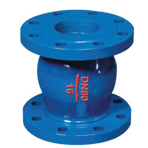 Check Valve DRVZ