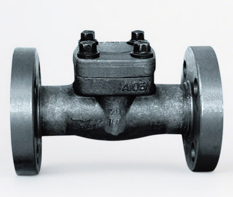 API Forged Steel Flange Check Valve H41Y