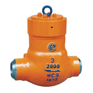 check valve H64Y