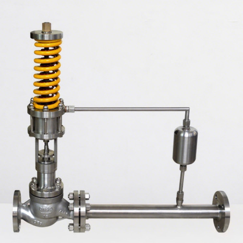 Self-operated Pressure (differential Pressure) Regulating Valve V231