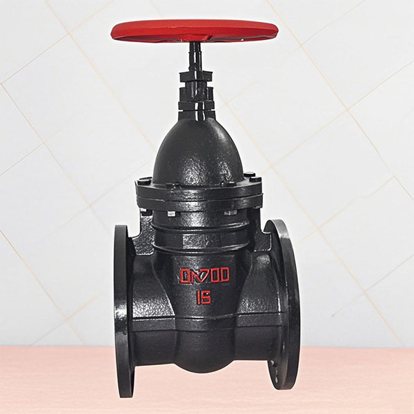 Cast Iron Blind Stem Wedge Gate Valve Z45