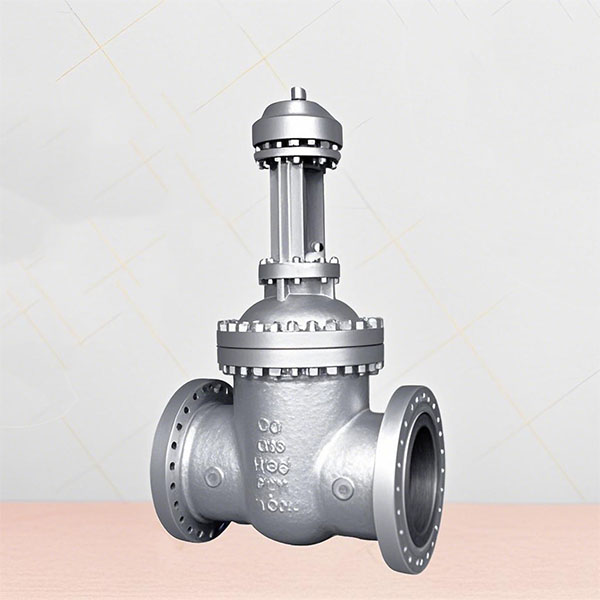 High Pressure Gate Valve Z541Y